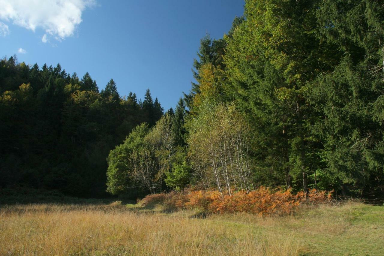 Lodge Fikfak Bled