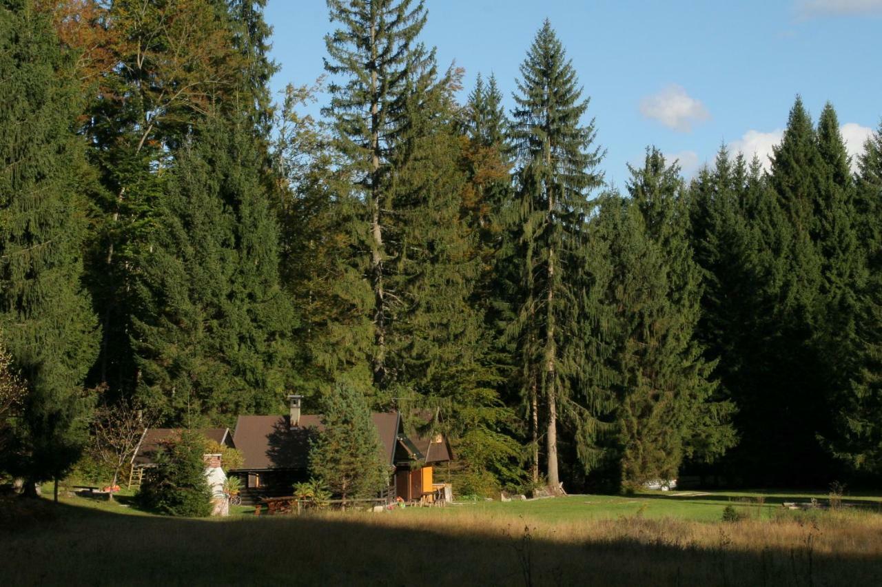 Fikfak Lodge